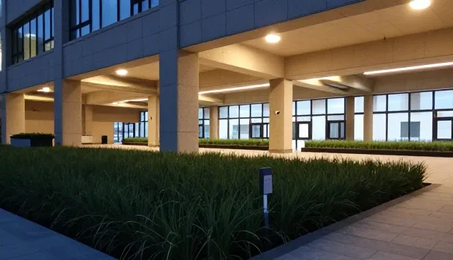 种植专用肥料使用误区及应对策略，优化施肥效果