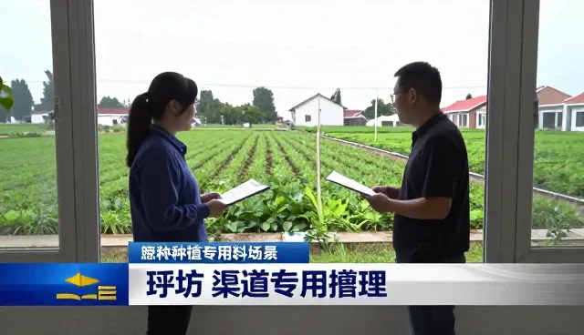 终端客户供货中的性能与适用条件分析